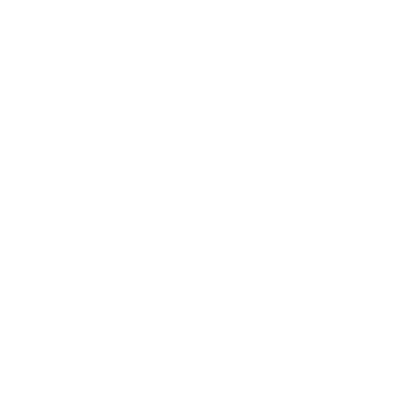 CAR VISUAL CHECK UNDERBODY ON THE LIFT